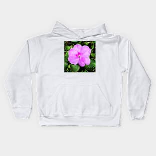 Busy Lizzie/Impatiens walleriana Kids Hoodie